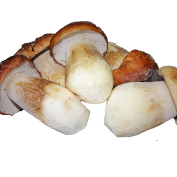 Boletus edulis extra entero