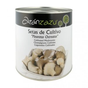 Setas de cultivo Lata 3kg